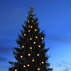 Erweiterungskabel Ring M. 5 Anschlüssen, System 24 7 Erweiterungskabel Ring M. 5 Anschlüssen, System 24 -Heimbeleuchtung 1522150 3