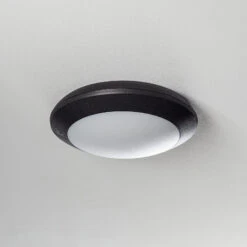 LED-Außendeckenleuchte Berta, Schwarz, CCT -Heimbeleuchtung 3538217 6