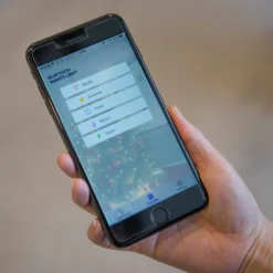 App-gesteuerter LED-Baummantel Innen 240fl -Heimbeleuchtung 5524824 2