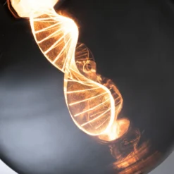 Paulmann LED-Lampe E27 3,5W Helix 1800K G125 Rauch -Heimbeleuchtung 7603033 2