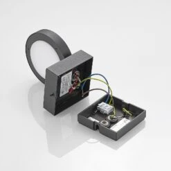 Lucande Belna LED-Außenwandlampe, Grafitgrau -Heimbeleuchtung 9619253 8