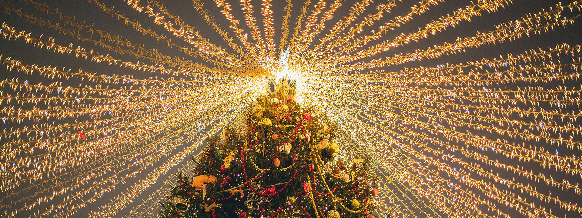 Heimbeleuchtung 1 Heimbeleuchtung -Heimbeleuchtung pexels elly fairytale 3811051